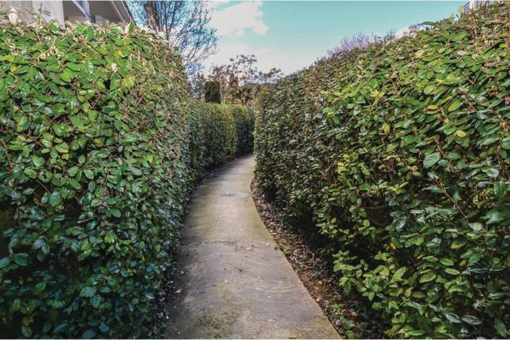 Appartement Des Amoureux 위제 외부 사진